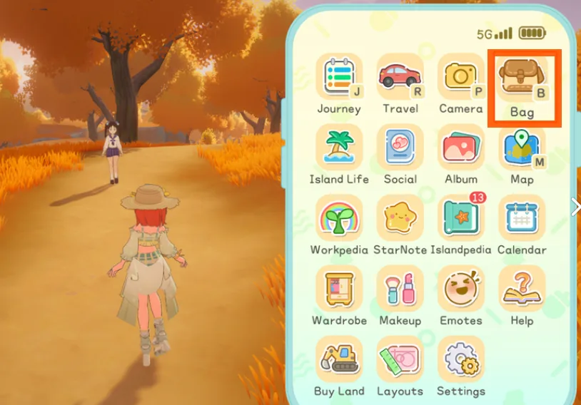 increasing bag space in Starsand island