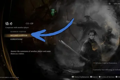 Nioh 3 How to Get Valor Records