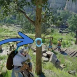 Crimson Desert How to Get Timber & Fine Timber