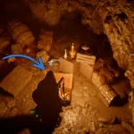 How to Get the Dark Ringleader's Full Armor Set Guide